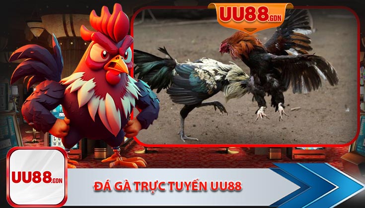 Đá Gà Trực Tuyến